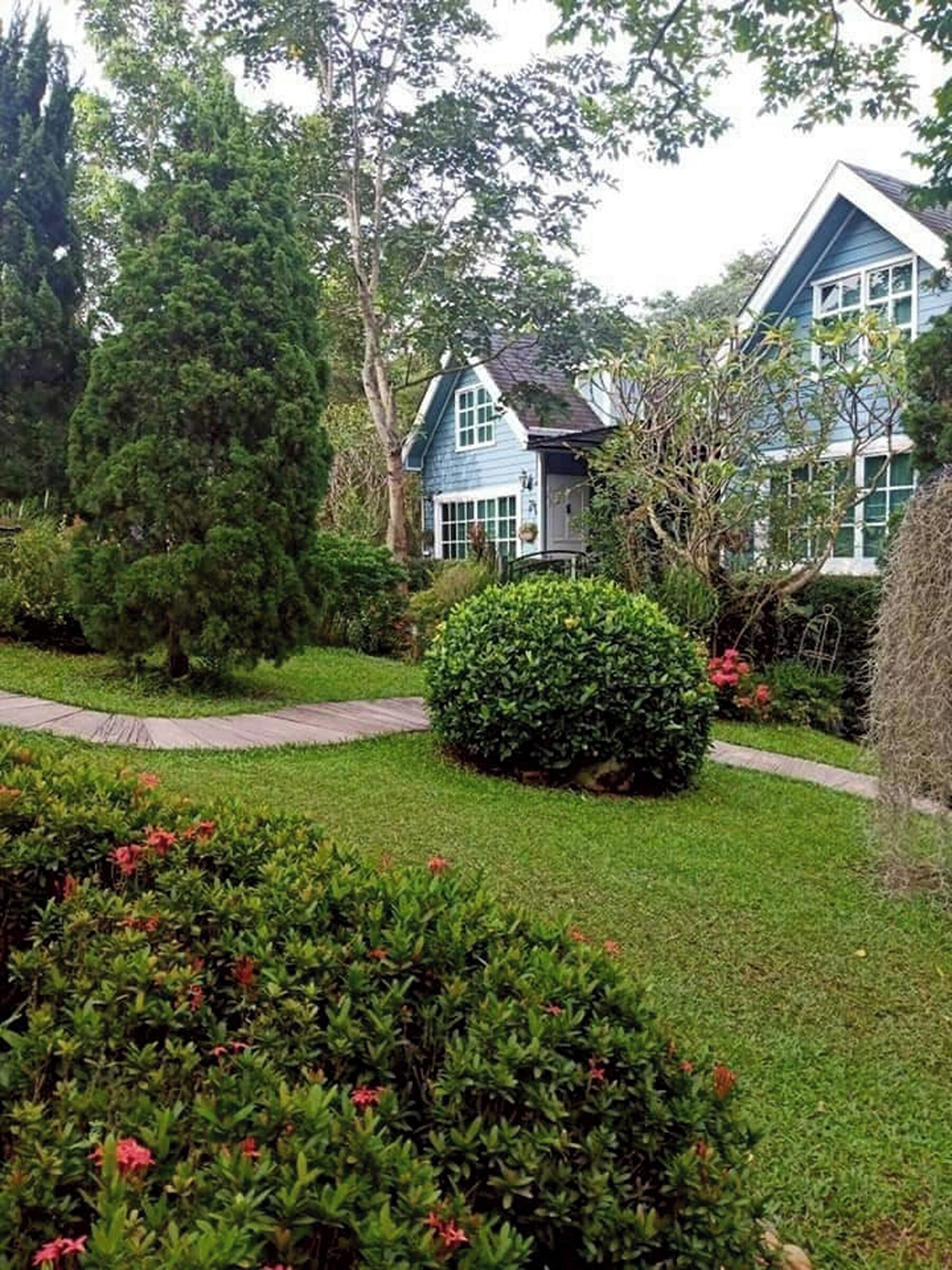 A house with a well-maintained garden, a pathway, and a large tree in the foreground.
