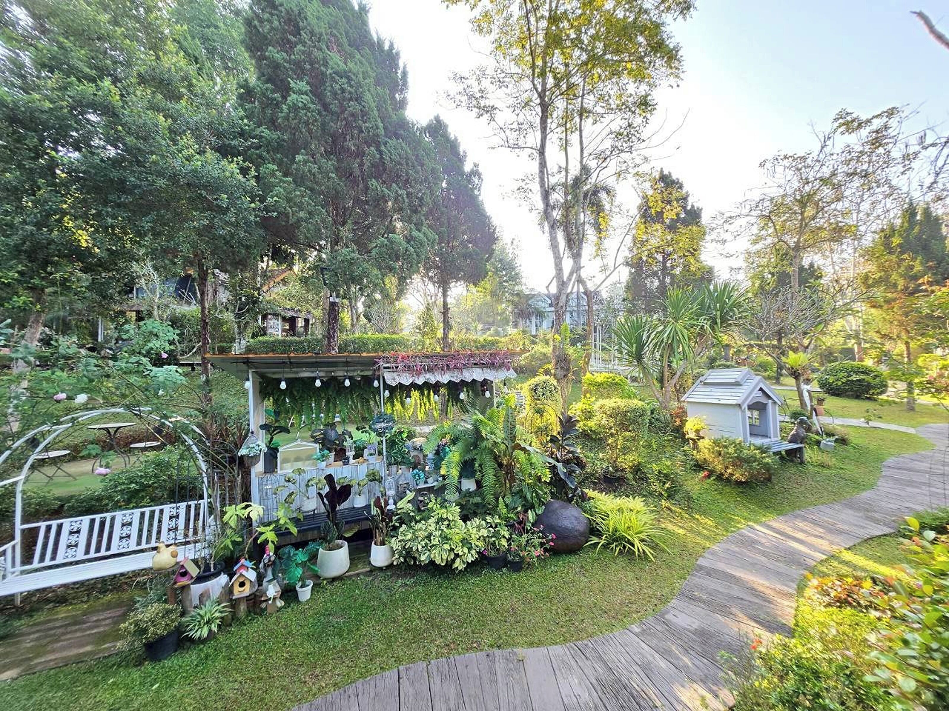 A garden with a gazebo, potted plants, and a small shed.