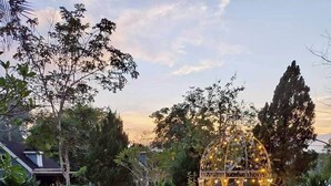 A garden pathway leading to a gazebo with string lights, surrounded by various plants and rocks.