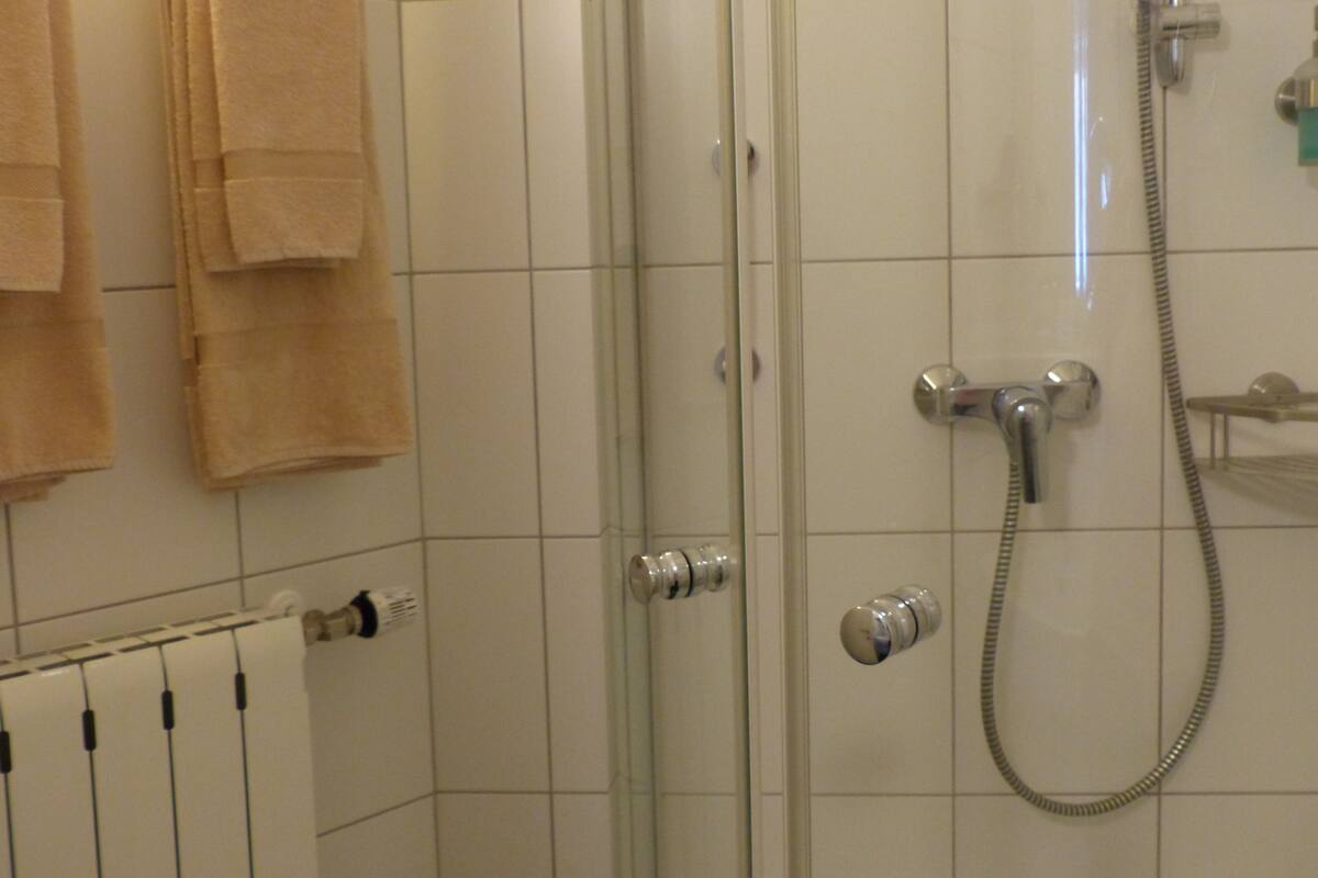 A shower area with a glass door, a handheld showerhead, and a towel rack with towels.