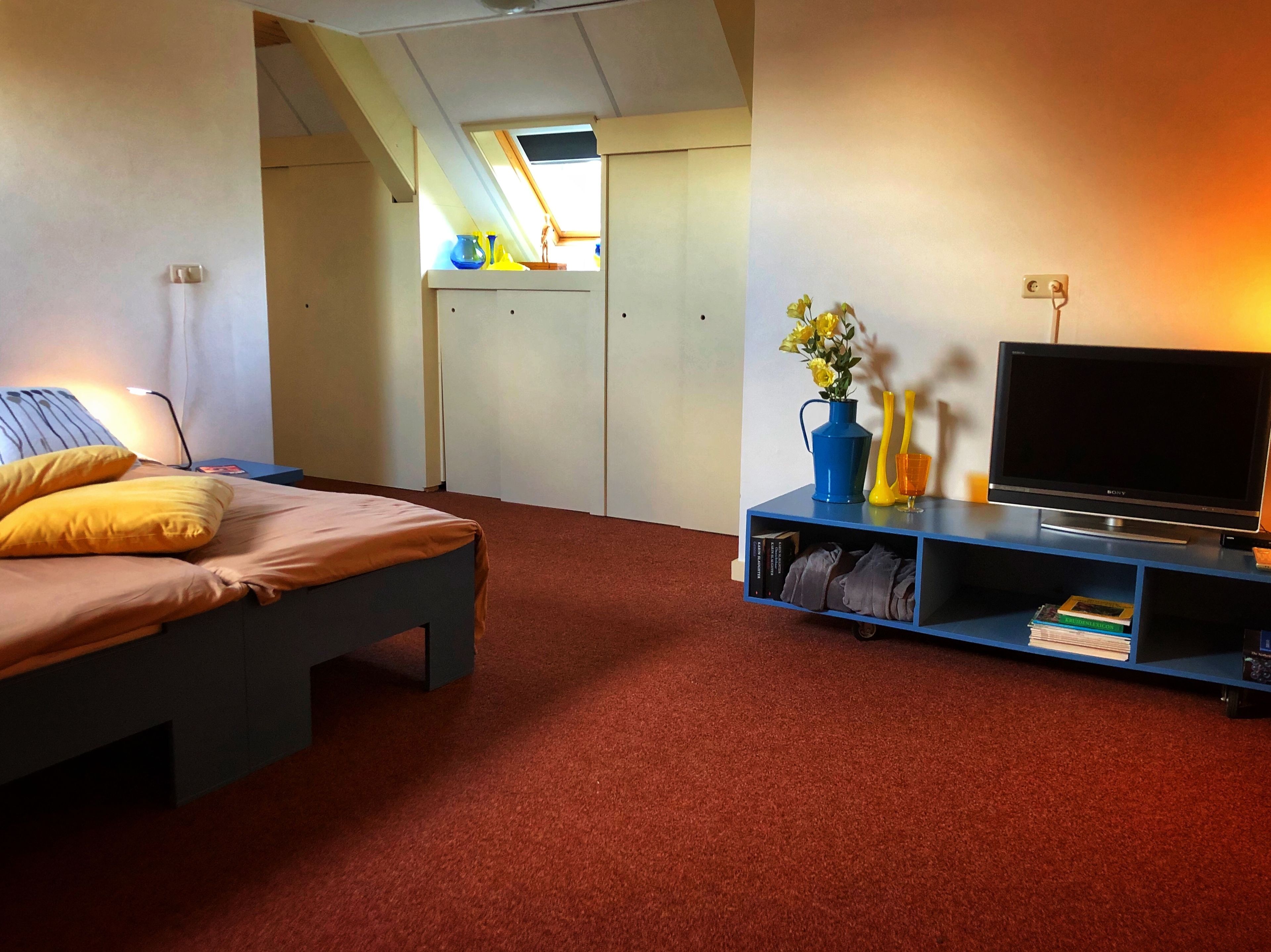 Un dormitorio con una cama, televisión, estantería y ventana.