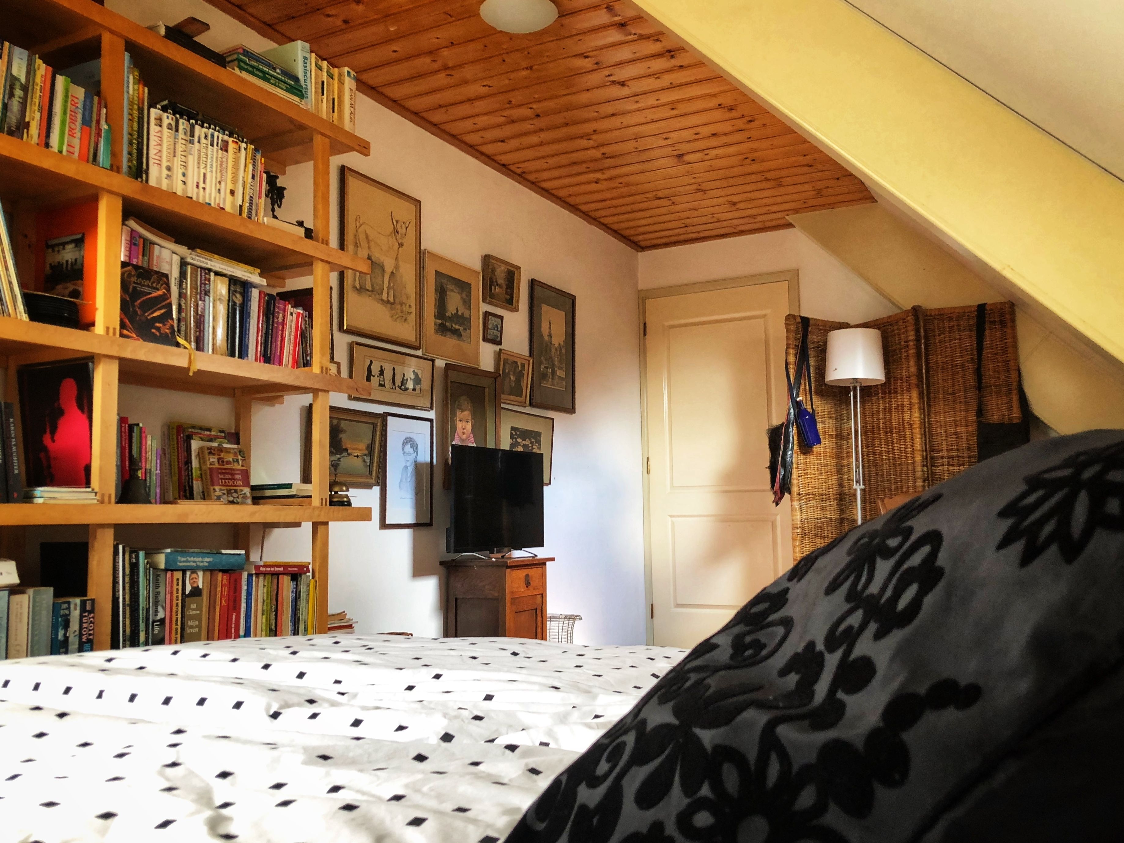 Quarto com teto de madeira, uma estante cheia de livros, televisão e uma porta.