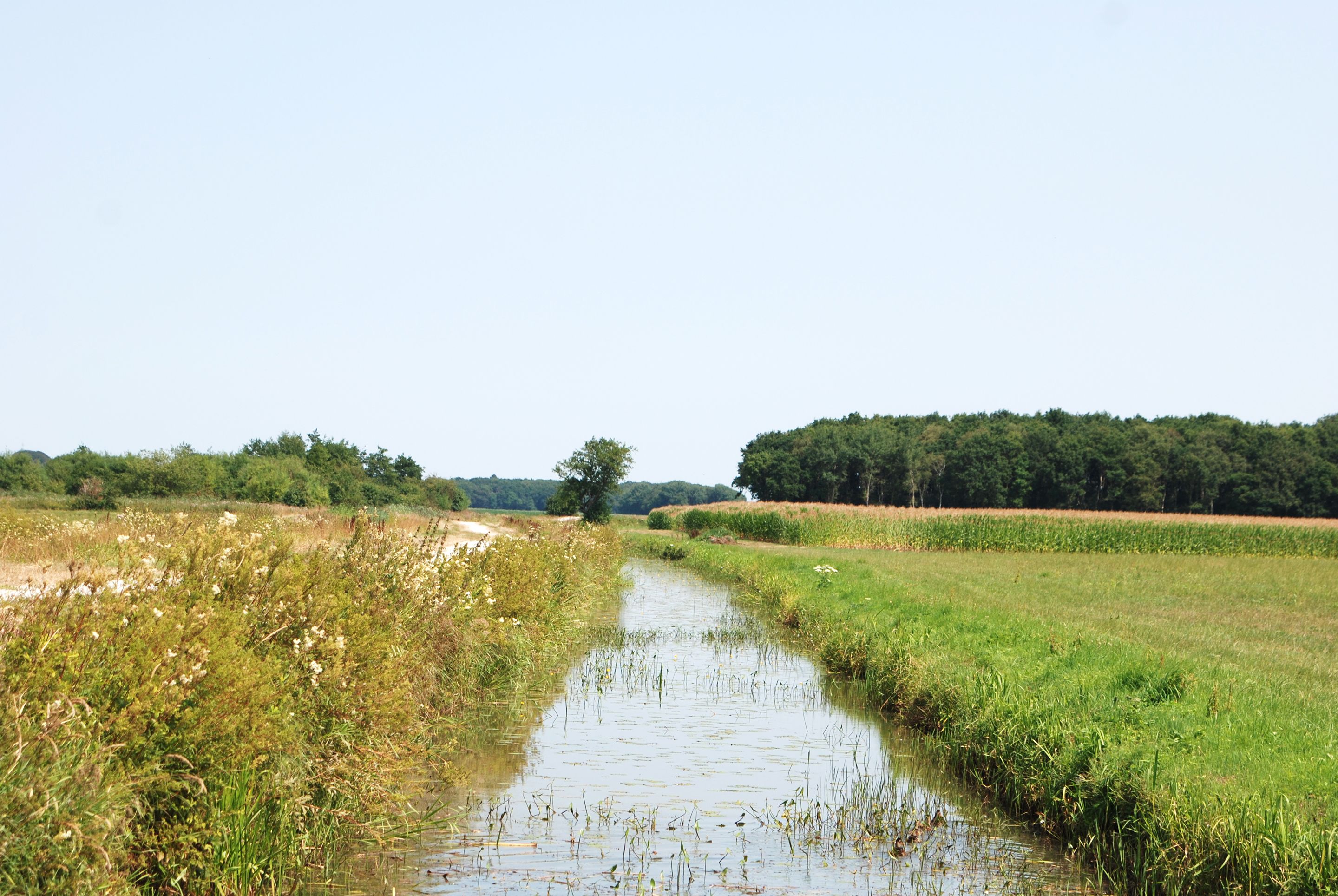 A rural landscape with a narrow water channel, surrounded by fields and trees.