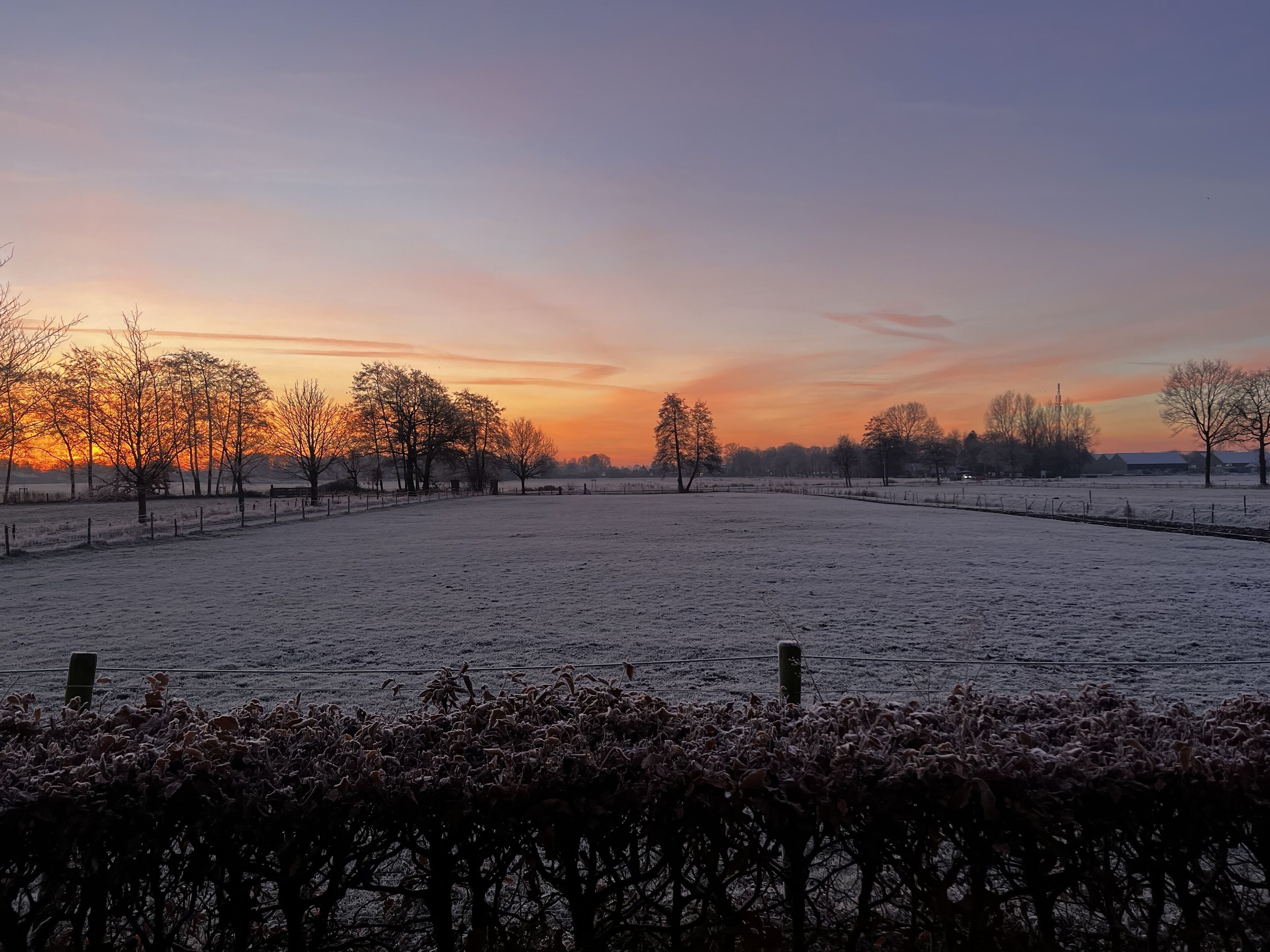 A frost-covered field with trees and a fence.