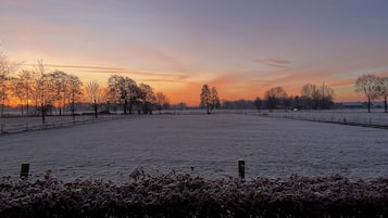 A frost-covered field with trees and a fence.