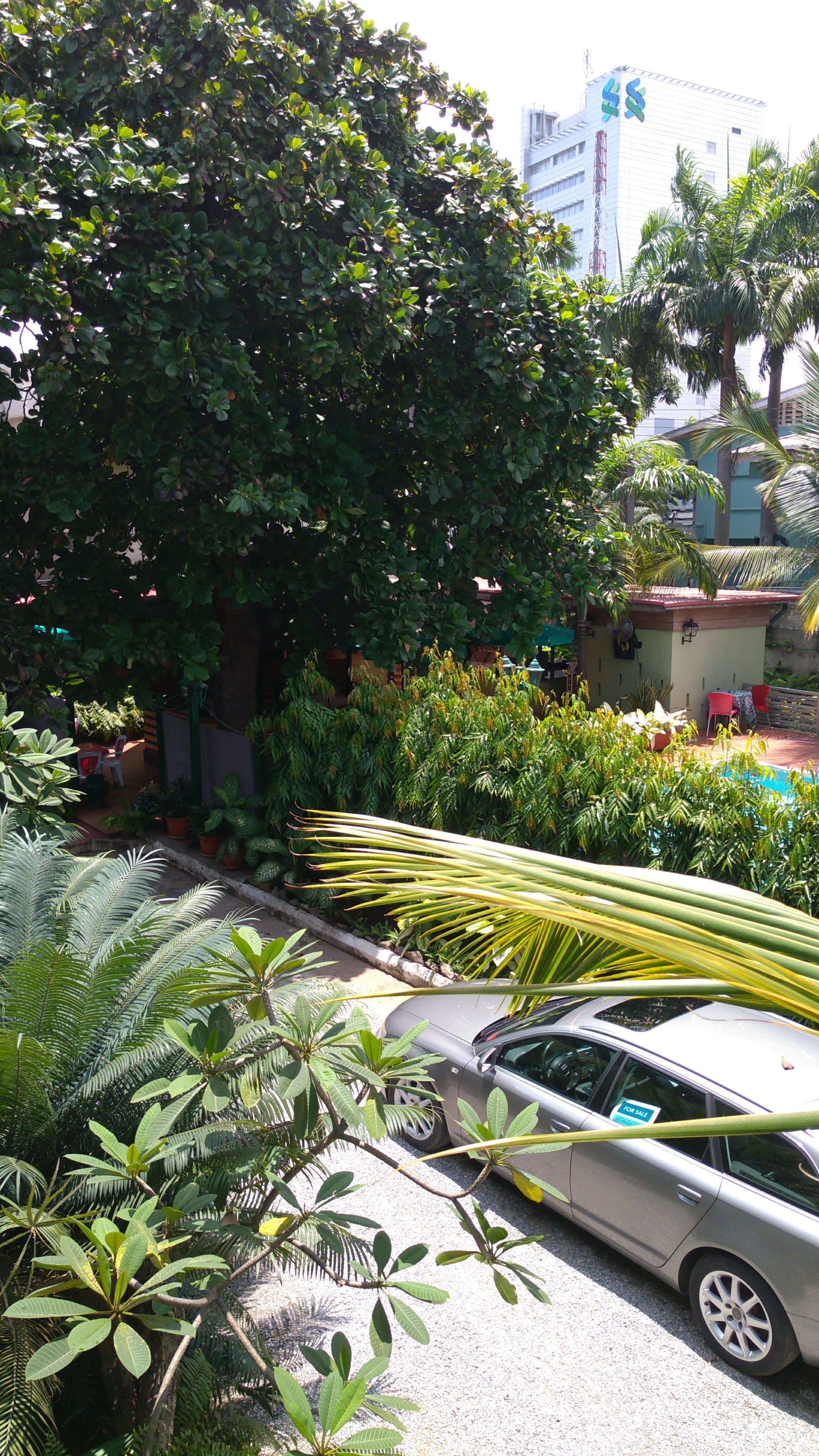 A car parked in a driveway with lush greenery and a building in the background.