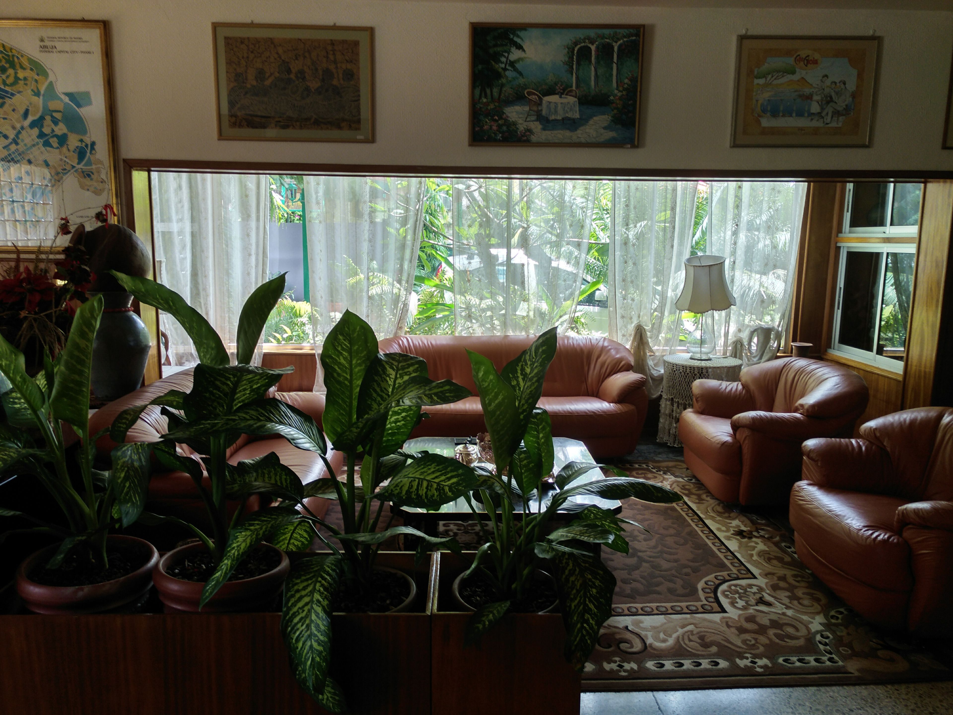 A living room with leather sofas, a coffee table, and potted plants.