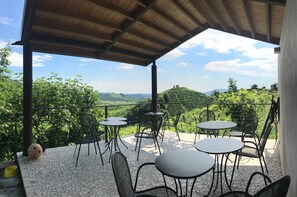 Terrace/patio - Agriturismo Due Carpini (Valdobbiadene)