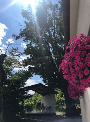 Gazebo - Agriturismo Due Carpini (Valdobbiadene)