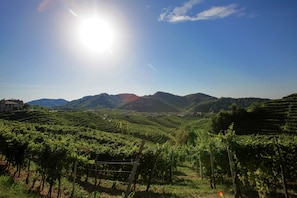 Terrain de l’hébergement 