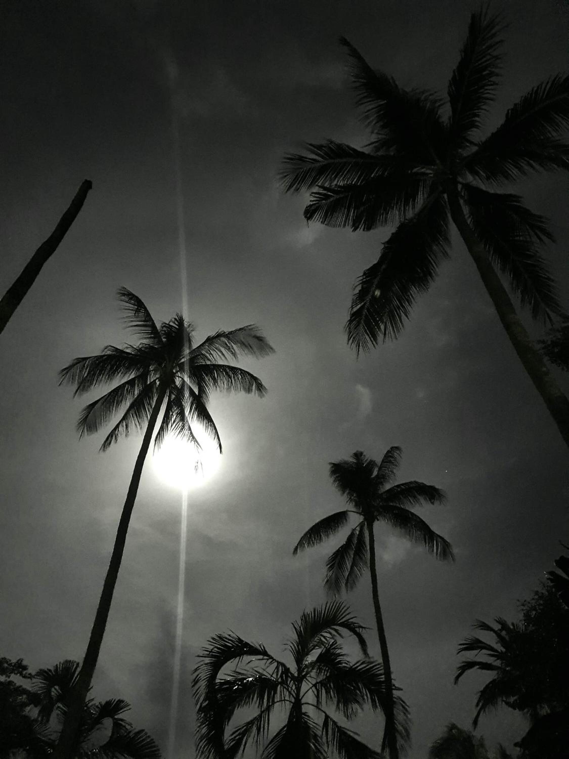 Foto - Chill Inn Lamai Hostel & Beach Cafe