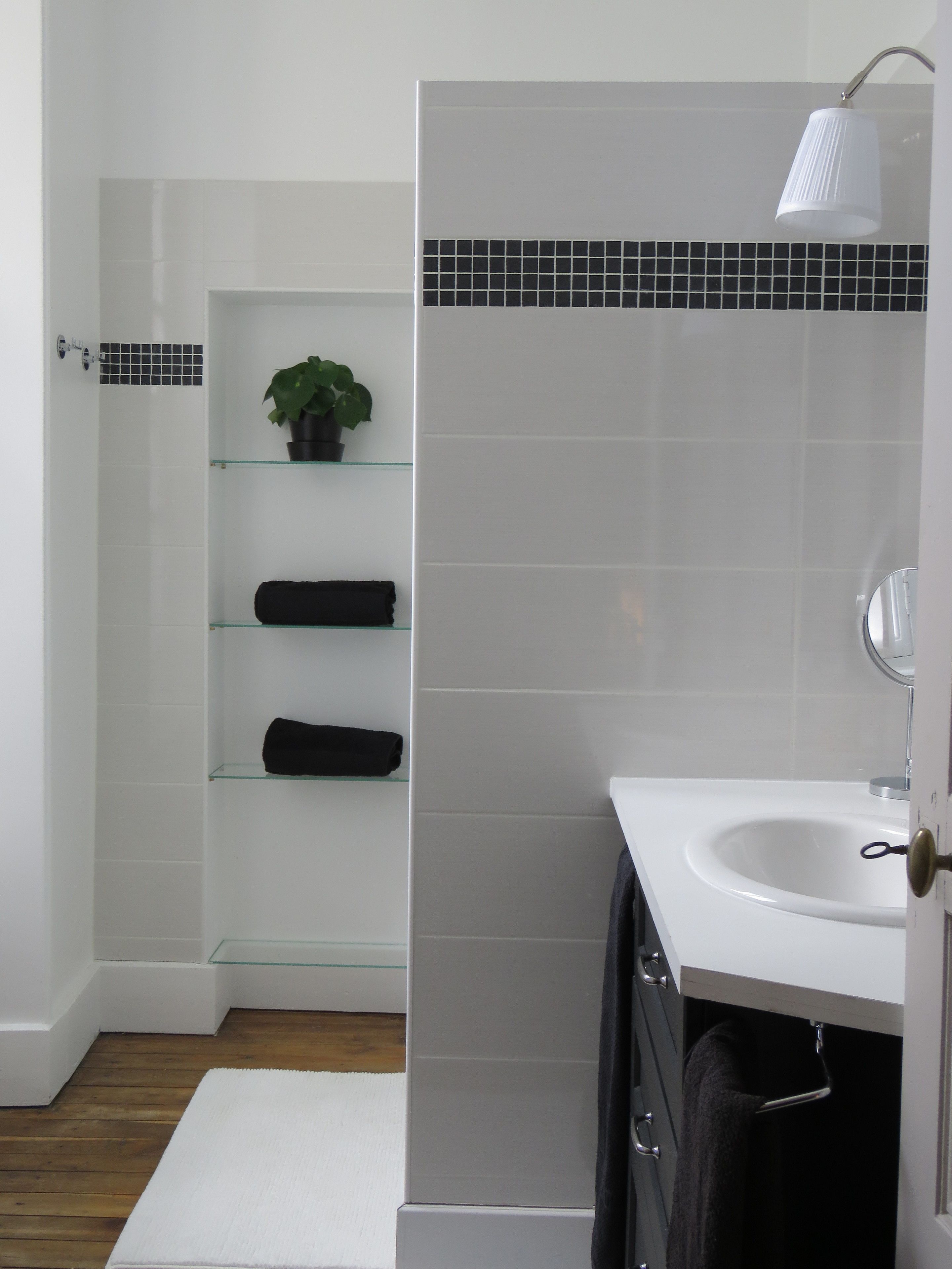A bathroom with a white sink, a glass shower enclosure, and a potted plant on a shelf.
