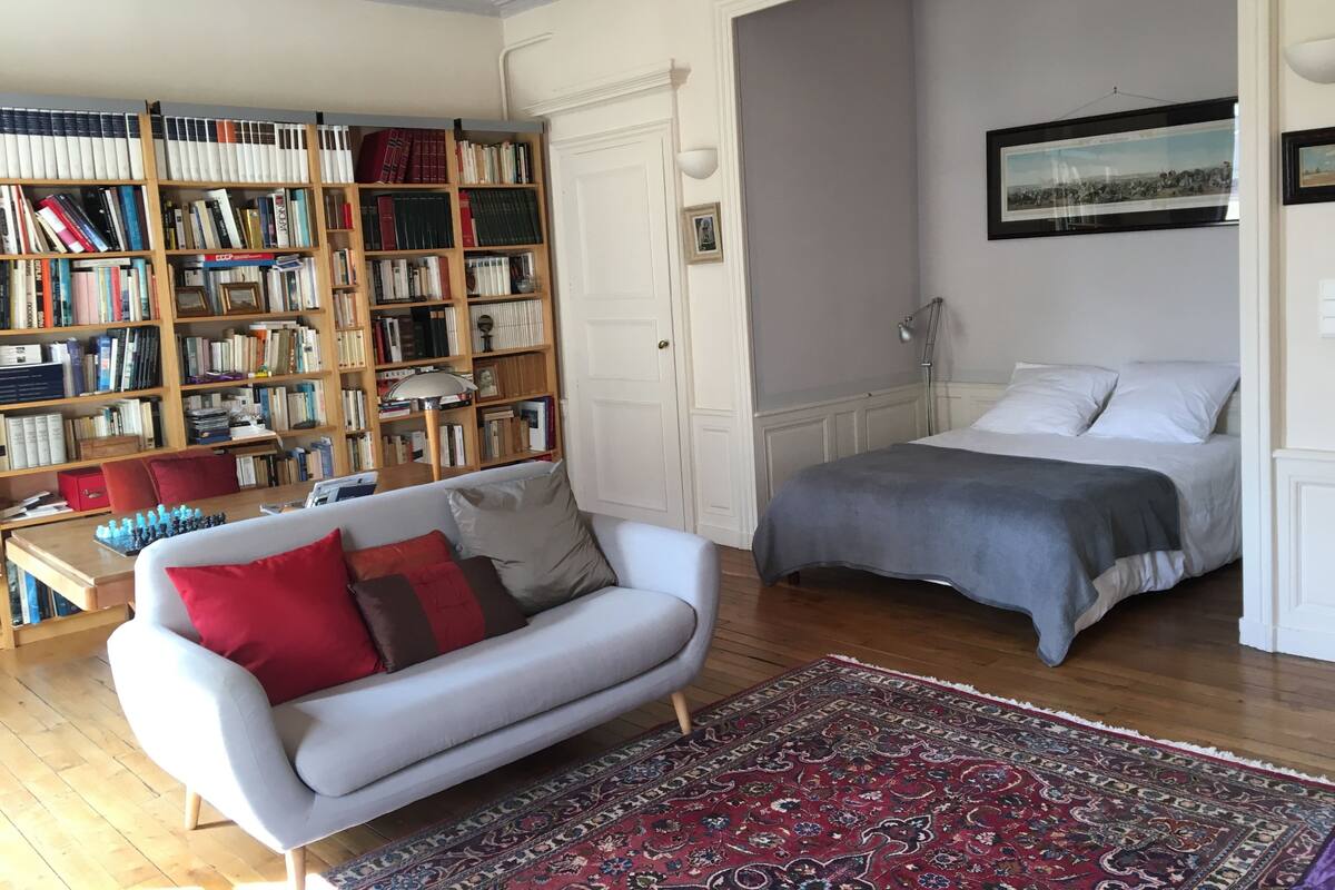 Una habitación acogedora con una amplia estantería, una cama y un sofá.