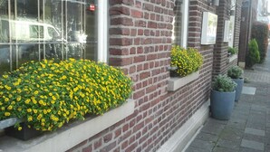 A brick building with large windows and flower boxes containing yellow flowers. - Gelder Dyck (Kevelaer)
