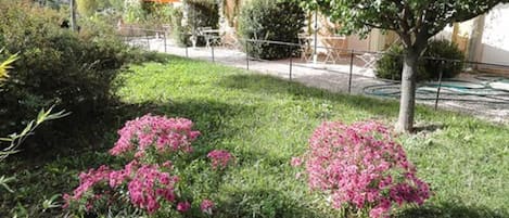 Jardín