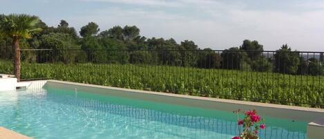 Outdoor pool, pool loungers