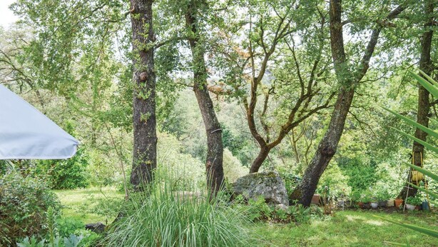 A lush garden with tall trees, a variety of plants, and a white umbrella. - Awesome home in Ville di Paraso with WiFi (Ville di Paraso)