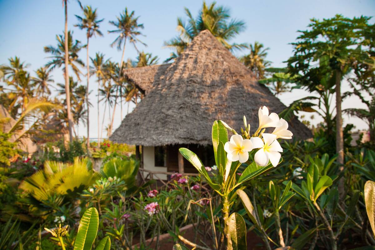 A thatched-roof hut surrounded by lush tropical vegetation and palm trees.