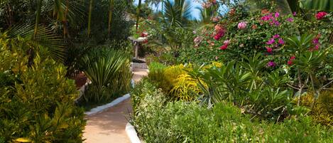 A pathway surrounded by lush greenery and flowering plants.