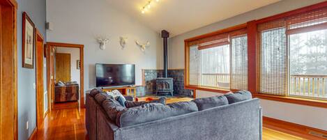 TV, fireplace, DVD player, books