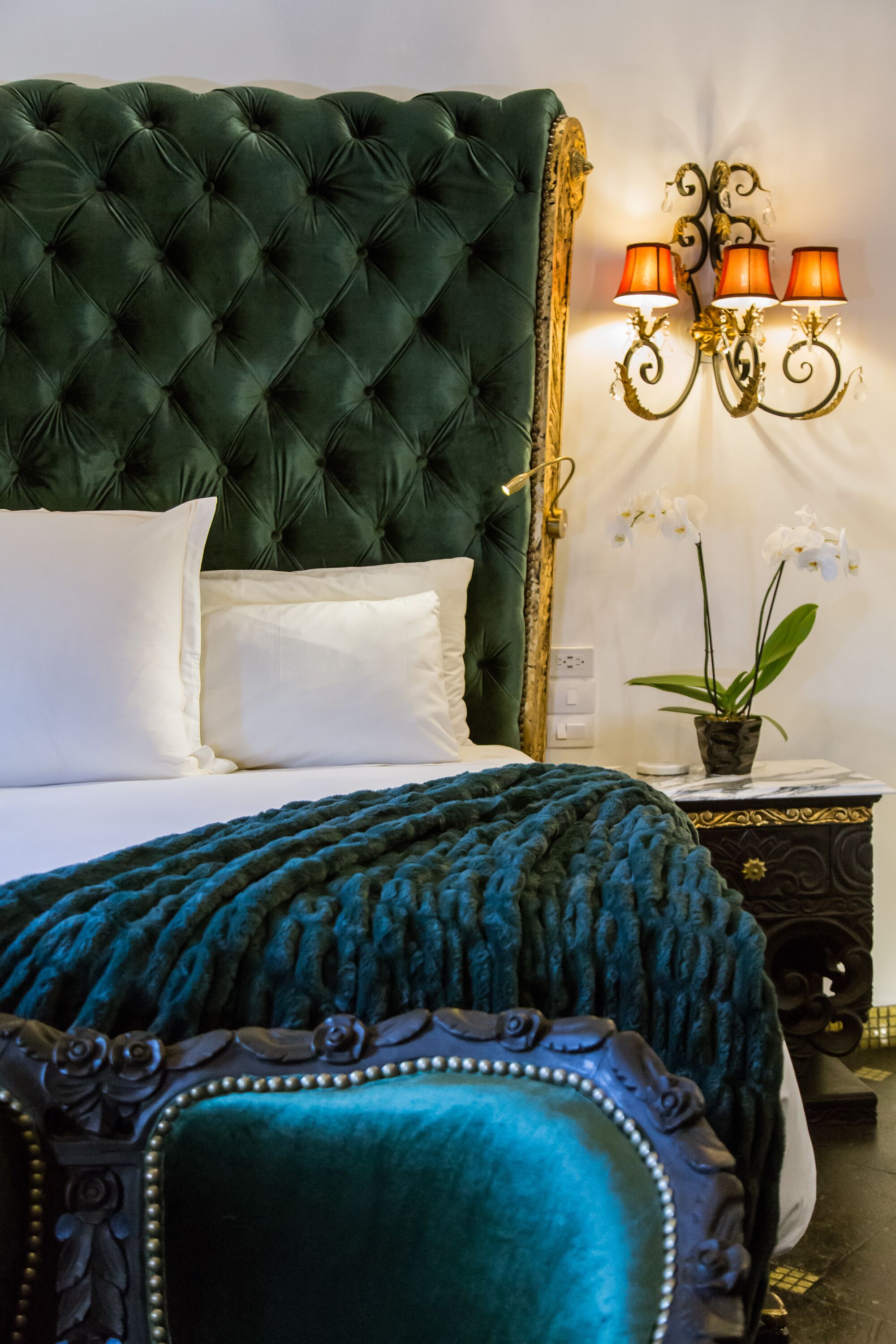 Una cama con cabecera capitonada, una mesita de noche con lámpara y una orquídea en maceta.