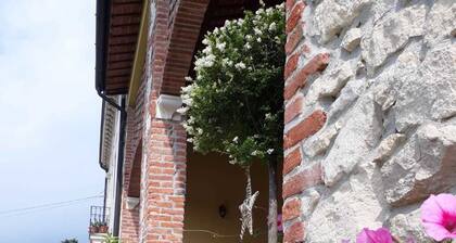 Casa Bassetto