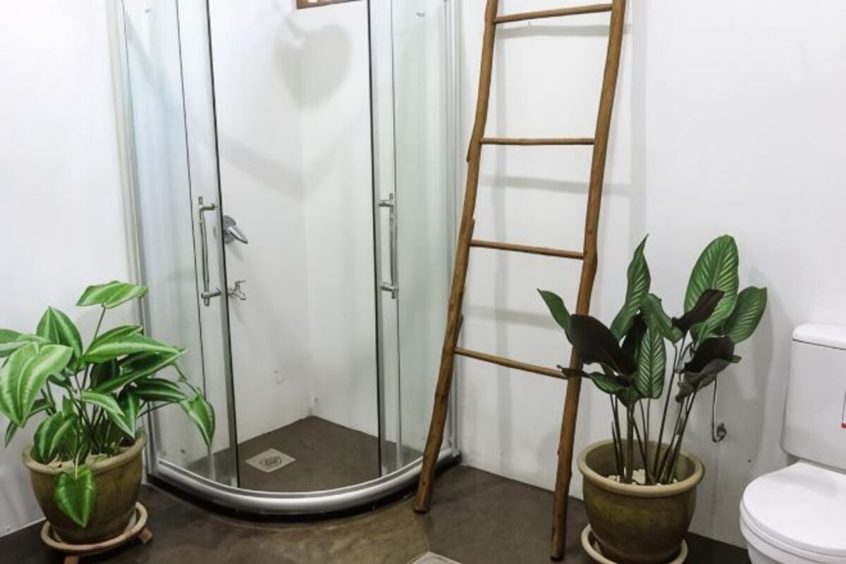 A bathroom with a glass shower door, a wooden ladder, and two potted plants.
