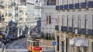 Eine Straßenbahn fährt eine Stadtstraße, gesäumt von Gebäuden.