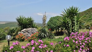 A garden with various plants, including large cacti and flowering shrubs. - B&B Semaforo di Capo Sperone (Sant'Antioco)