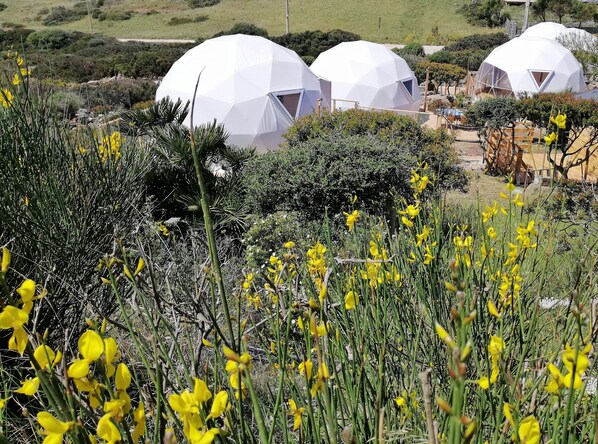 Design Tent, 2 Bedrooms, Ensuite, Sea View | Garden view
