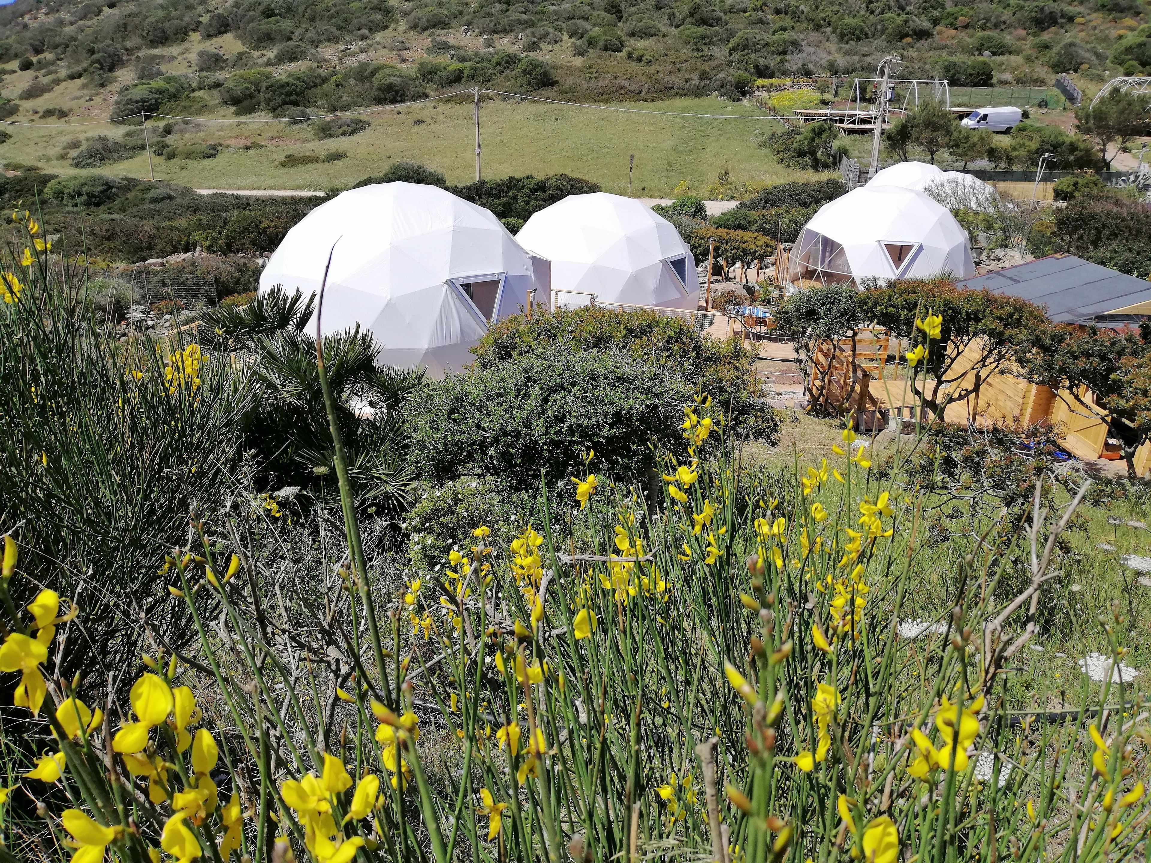 A view of dome-shaped structures in a natural setting with surrounding vegetation and a distant landscape.