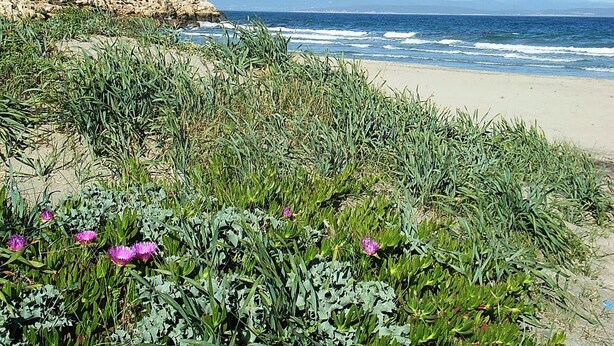 A coastal landscape with a rocky cliff, beach, and ocean. - B&B Semaforo di Capo Sperone (Sant'Antioco)