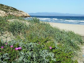 Servicio de transporte a la playa, tumbonas y sombrillas