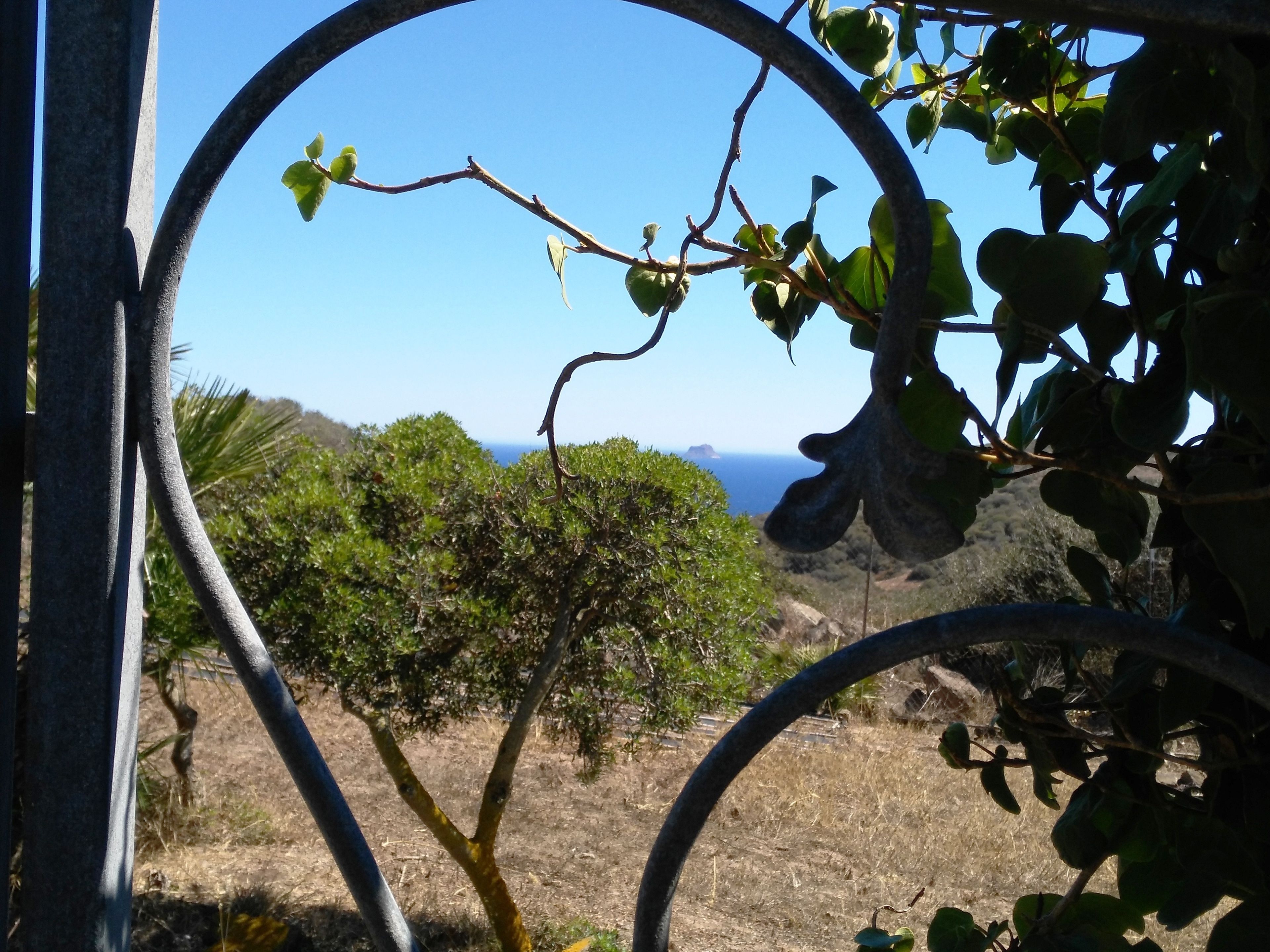 Una estructura metálica enmarca la vista de un árbol y el paisaje distante.