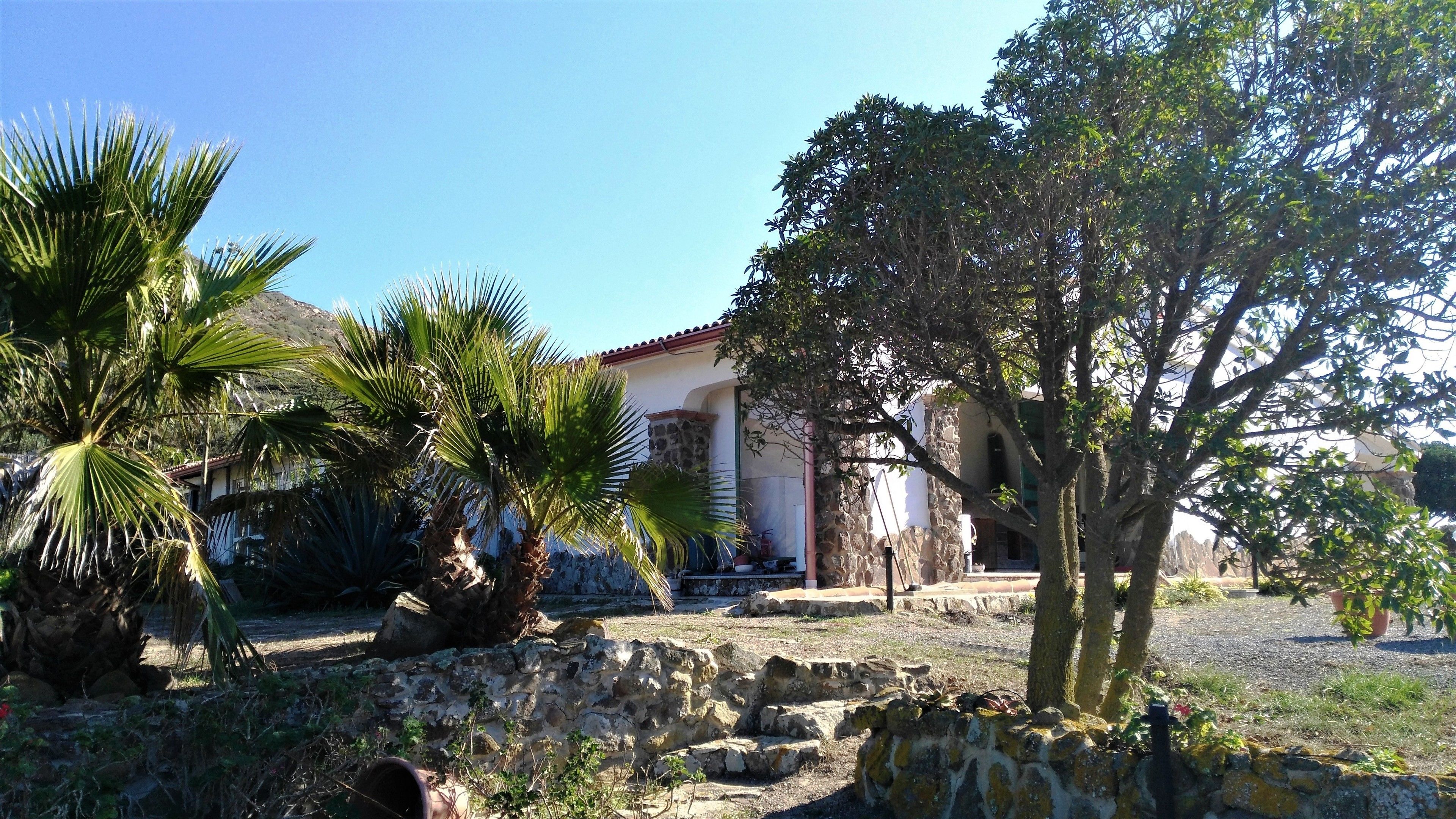 A stone wall, palm trees, and a building with a red roof.