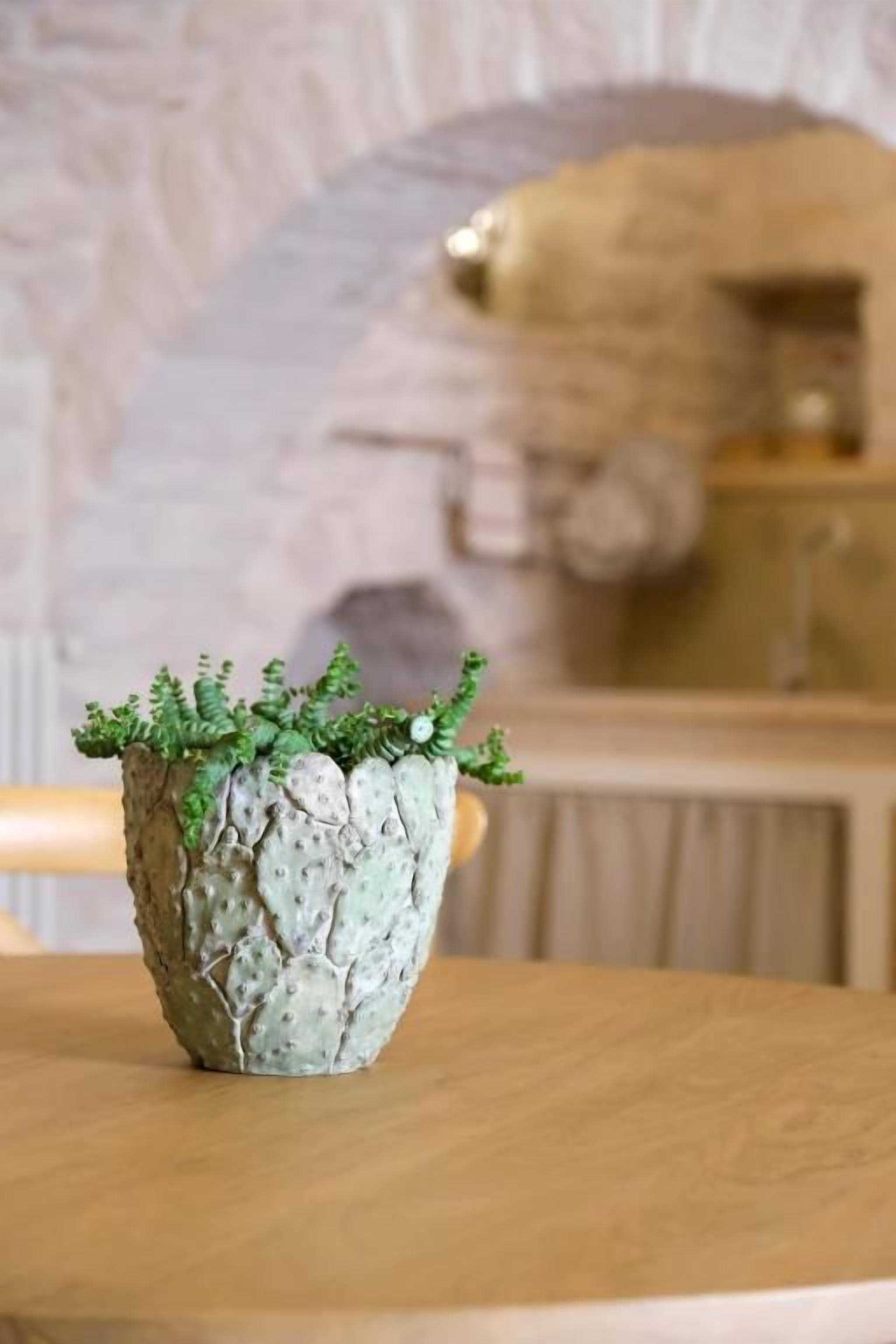Una jardinera con follaje verde sobre una superficie de madera.