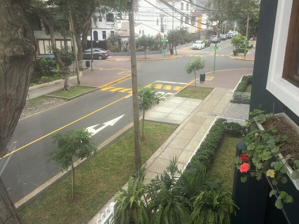 Vista desde la propiedad
