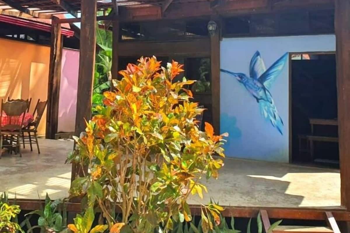 Mökki, useita sänkyjä, tupakointi kielletty (Colibri Cabina) | Ilmainen Wi-Fi, yksilöllisesti sisustettu, yksilöllisesti kalustettu