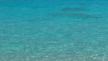 Serviettes de plage