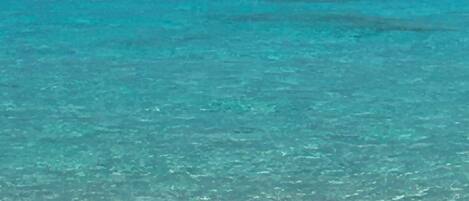 Tovalloles de platja