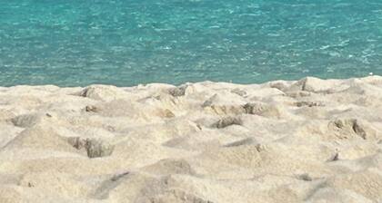 Rauhallisella vihreä asetuksia välillä Laurel ja oliivi omakotitalo