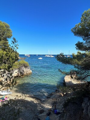 Serviettes de plage