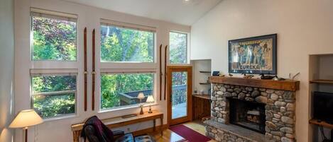 Smart TV, fireplace, DVD player, books