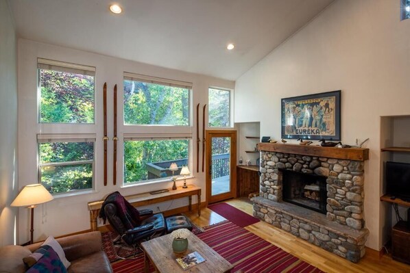 Smart TV, fireplace, DVD player, books