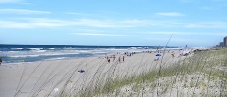 Playa en los alrededores, camastros y toallas de playa 