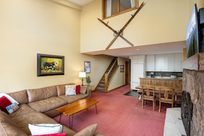 TV, fireplace, DVD player, books