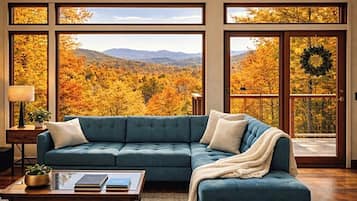 Smart TV, fireplace, video games, DVD player