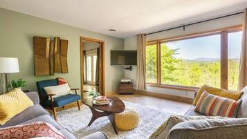 Smart TV, fireplace, video games, DVD player