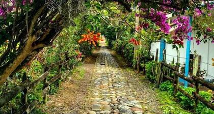 Paraiso Travel