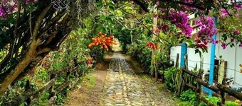 Paraiso Travel